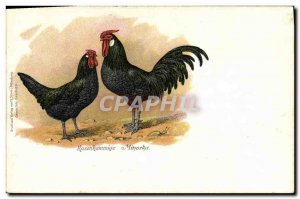 Postcard Old Rooster Rosenkammige Minorka