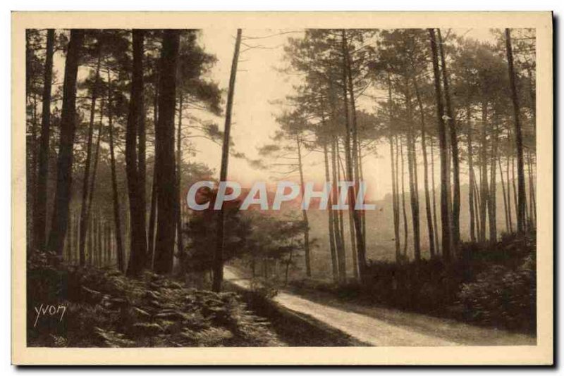 Old Postcard La Douce France Gascony Landes Route de Leon Moliets