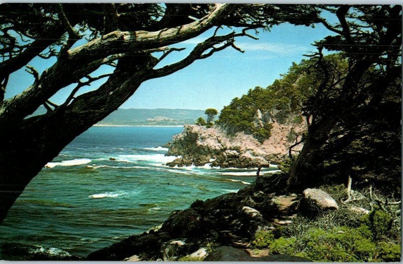 Point Lobos State Reserve south of Carmel California Postcard