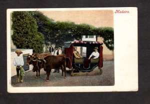 Portugal Madeira Islands Oxen Carriage Car Sled Type Carte Postale Postcard