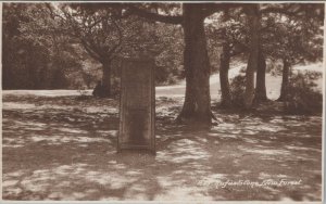 Hampshire Postcard - New Forest, Rufus Stone  RS36253