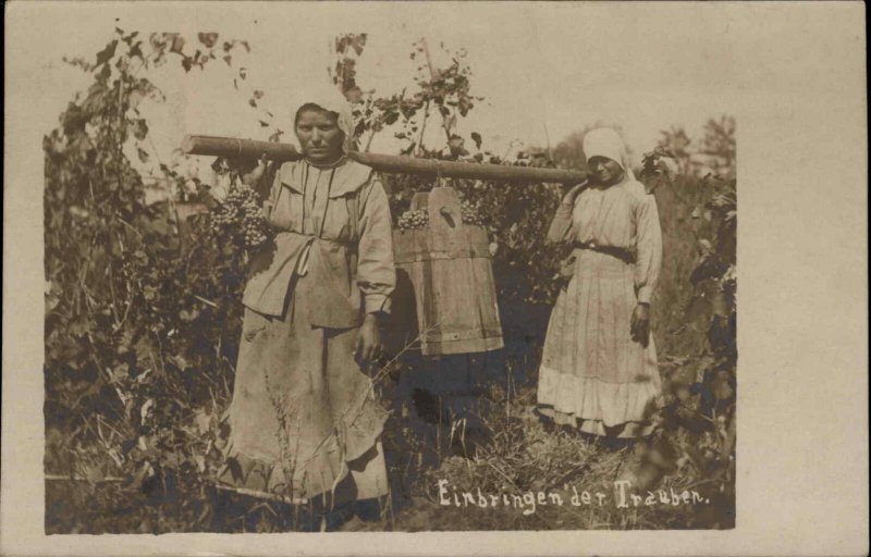 Women Wine Vineyard Grape Farming Labor German Real Photo Postcard c1915