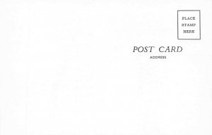 Keene NH MacKenzie Dairy Horse Drawn Wagon & Dairy Truck Postcard