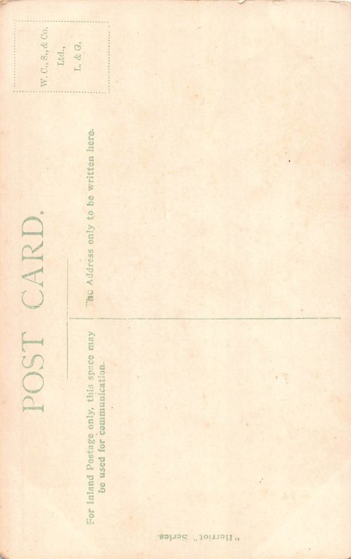 Animals Anthropomorphic Wolf Hunting Goose Moonlight Snow Art postcard B921