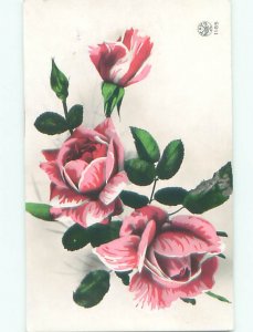 tinted rppc c1910 BEAUTIFUL FLOWERS AC9359
