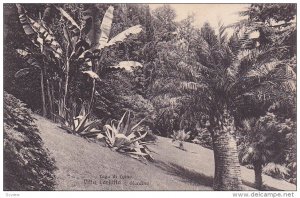 Villa Carlotta - Giardino, Lago di Como (Lombardy), Italy, 1900-1910s