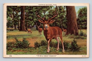 Deer is Wild About Yosemite National Park CA California Linen Postcard E16