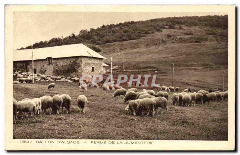 Ballon d & # 39Alsace - Farm of Jumenterie - Old Postcard