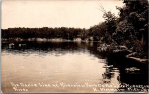 RPPC Shore Line Riverview Park, Little Muskegon River MI Vintage Postcard V78