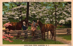 Greetings From Manning,SC Horseback Riders