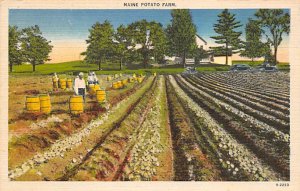 Maine Potato Farm Farming Unused 