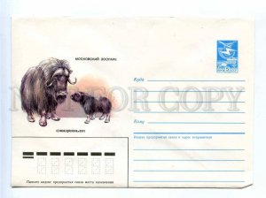 196485 USSR Moscow Zoo musk-ox old COVER