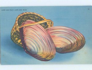 Pre-Chrome ANIMAL SCENE Cape Cod Massachusetts MA AH5933