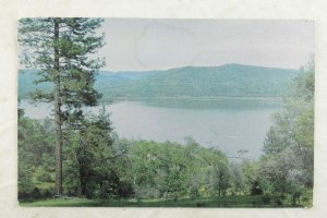 Collins Lake Recreation Area, Oregon House, Cal. Vintage Postcard P106 