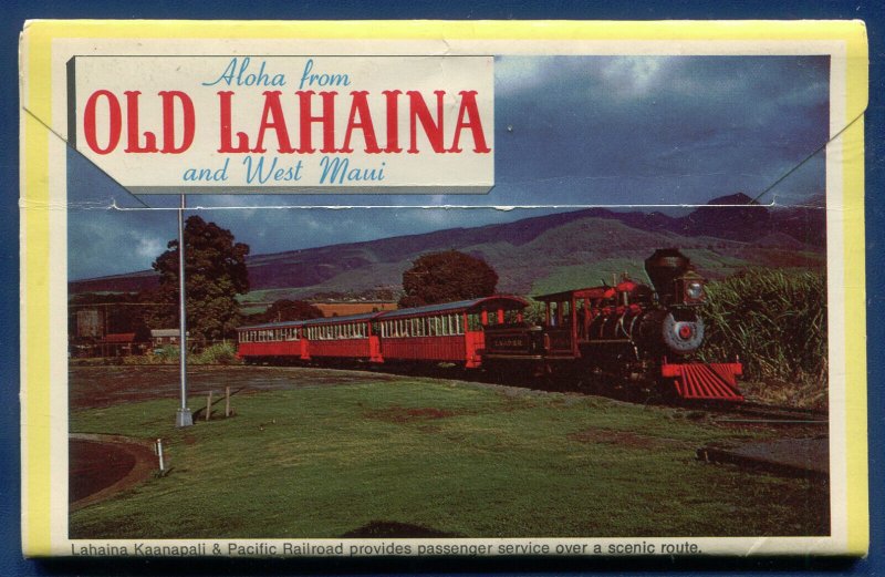 Maui Lahaina Hawaii the Valley Island Hawaiian Souvenir postcard folder PF271