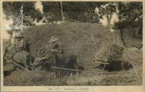 siam thailand, BANGKOK, Buffalo Sledge (1920s) Y. Ebata No. 115 Postcard