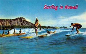 SURFING IN HAWAII Sport of Kings WAIKIKI BEACH Surfboards 1950s Vintage Postcard