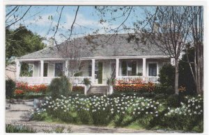 Hope Farm Natchez Mississippi linen postcard