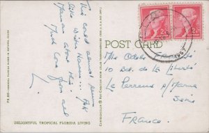 USA Delightful Tropical Florida Living Florida Chrome Postcard C006