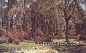 Brookwood Park - Valdosta, Georgia GA  