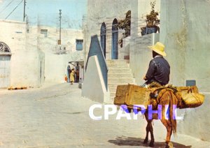 Postcard Modern SIDI BOU SAID -TUNISIA Donkey Donkey