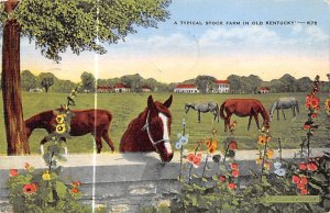 Typical Stock Farm KY , USA Horse 1954 
