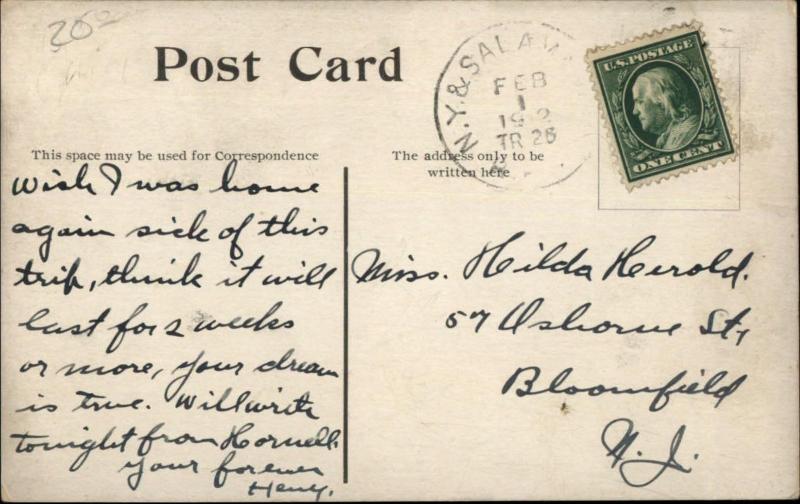 Corning NY Casale's Hotel Multi-View c1910 Postcard