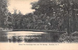 Randolph New York Conewango Scenic View Vintage Postcard JA455169