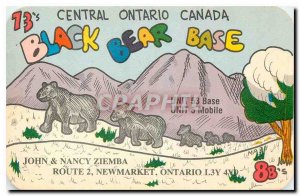 Postcard Modern Central Ontario Canada Black Bear Bear Base