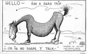 Artist impression Comic Humor Gloss Tone Empie Sway back Horse Postcard 21-3906