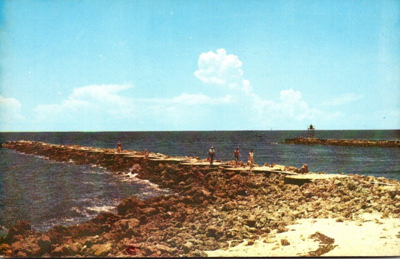 Florida Venice World Famed Fishing Jetties