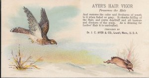 Dr J.C. Ayer & Co, Lowell, Ma Ayer's Hair Vigor Advertising Card (49373)