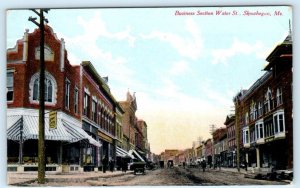 SKOWHEGAN, Maine ME ~ Business Section WATER STREET Scene c1910s Postcard