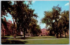 Providence Rhode Island 1950s Postcard Campus Brown University