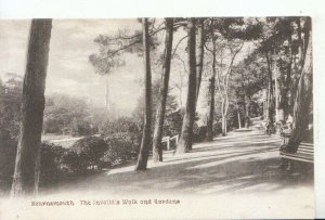 Dorset Postcard - Bournemouth - The Invalid's Walk and Gardens - Ref 12211A