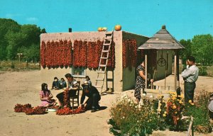 Vintage Postcard Stringing Chili in the Southwest Mexicans Hollyhocks Clay House