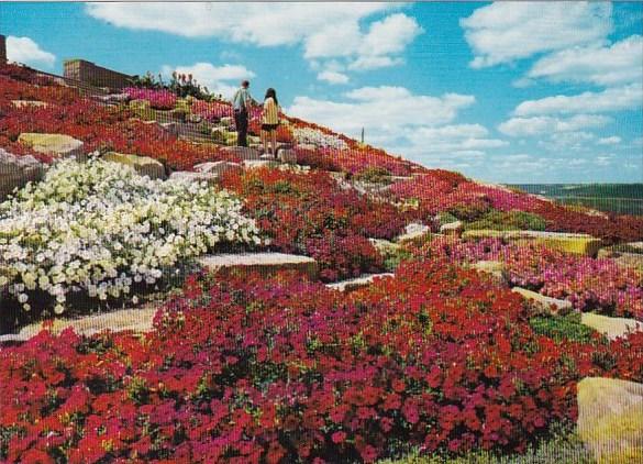 Canada Tiers Of Spectacular Blooms Cover The Slopes Of Beautiful Sam Lawrence...