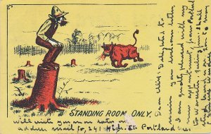 Standing Room Only - Humor - Watching Charging Bull - pm 1905 - UDB