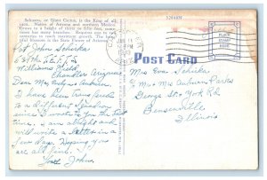 1943 Giant Cacutus or Sahuaro Forest, Bossom is State Flower of AZ Postcard 