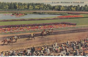 MIAMI , Florida , 30-40s ; Hialeah Park , Mid-Season Horse Race