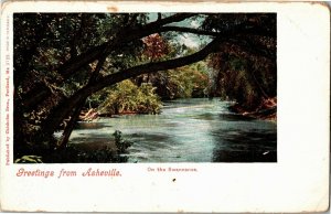 Greetings from Asheville NC On the Swannanoa Undivided Back Vtg Postcard X31