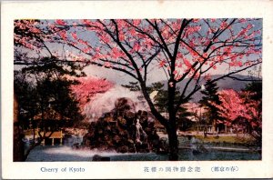 Japan Cherry Of Kyoto Vintage Postcard C160