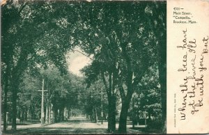 Vtg Brockton Massachusetts MA View of Main Street Campello 1905 UDB Postcard