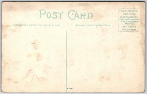 Ridgeley West Virginia c1910 Postcard Bue Bridge Spanning Potomac River