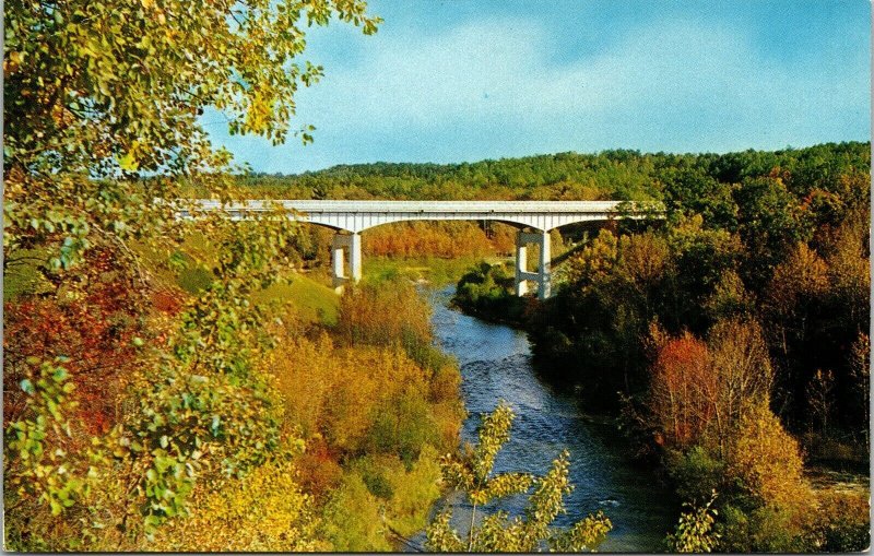 Peterson Bridge Pine N Baldwin Michigan MI Fall Scene VTG Postcard UNP Avery 