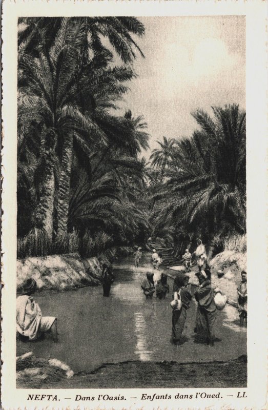 Tunisia Nefta Dans l'Oasis Vintage Postcard C146