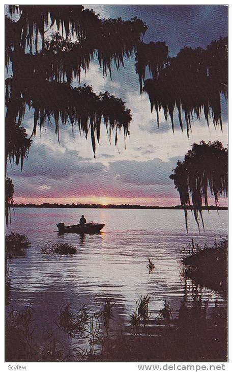 Fish - Fishing boat on water at Sunset - Days Last catch, 40-60s