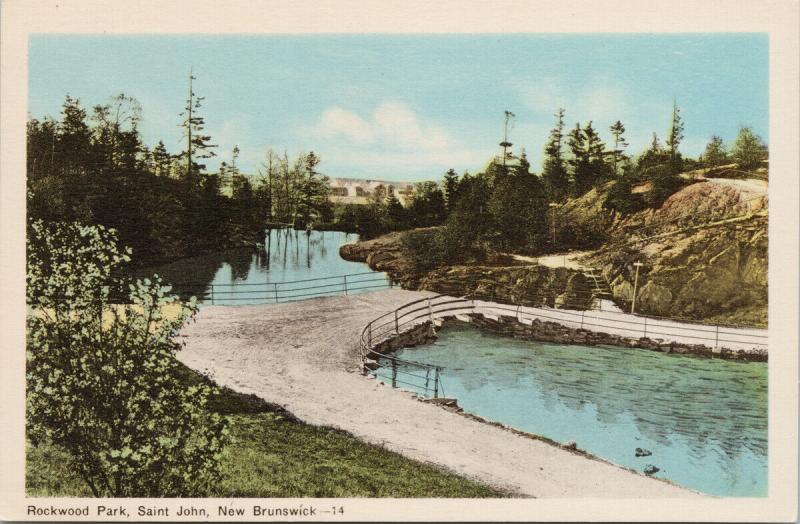 Rockwood Park Saint John NB New Brunswick Unused Postcard F10