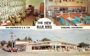 Sterling Colorado The New Blue Bird Cafe Dining Room Vintage Postcard AA65474