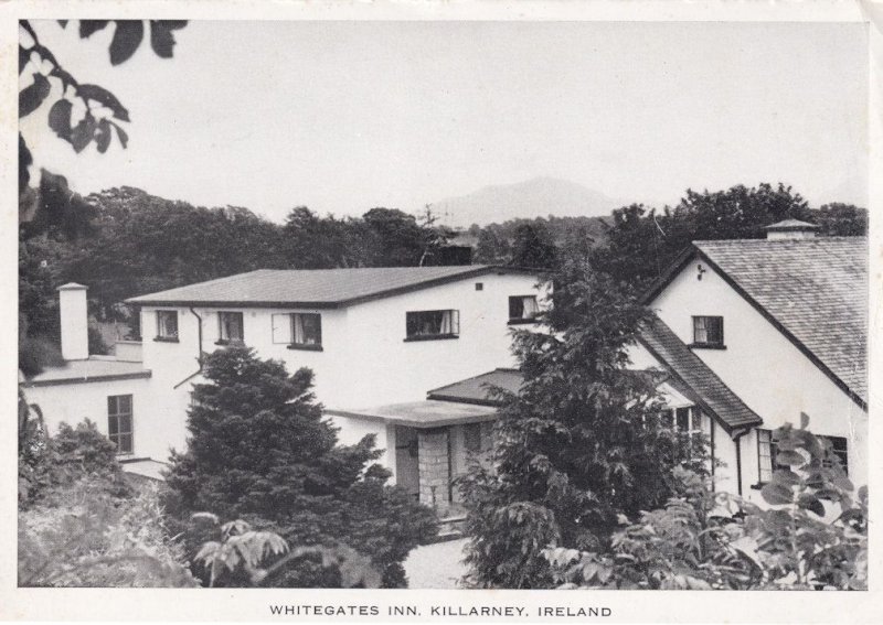 Whitegates Inn Killarney Rare Irish Postcard